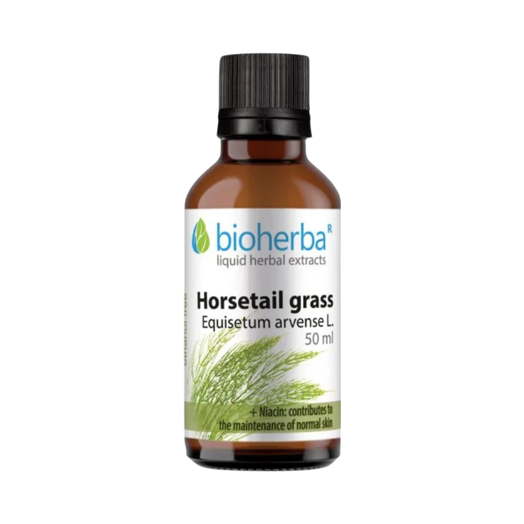 Obrázok z Praslička (Horsetail) kvapky – tinktúra – 50 ml – Bioherba