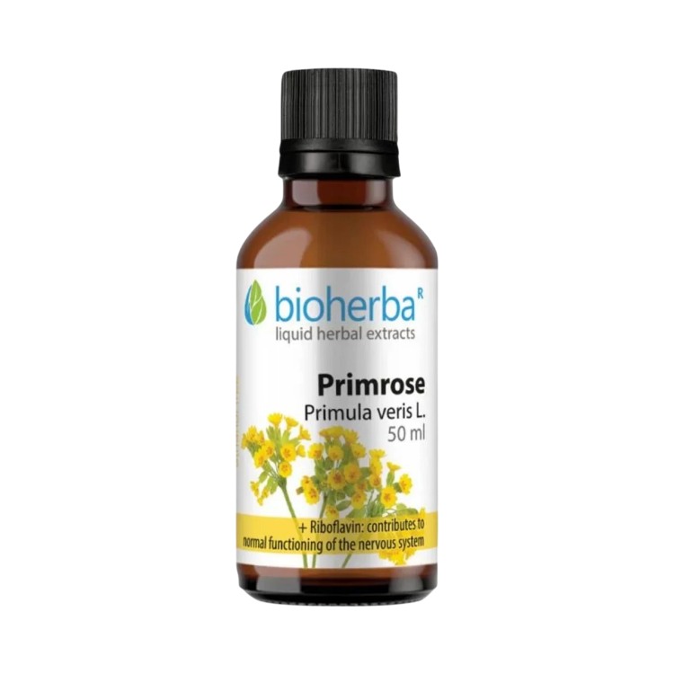 Obrázok z Prvosienka (Primula veris) kvapky – tinktúra – 50 ml – Bioherba