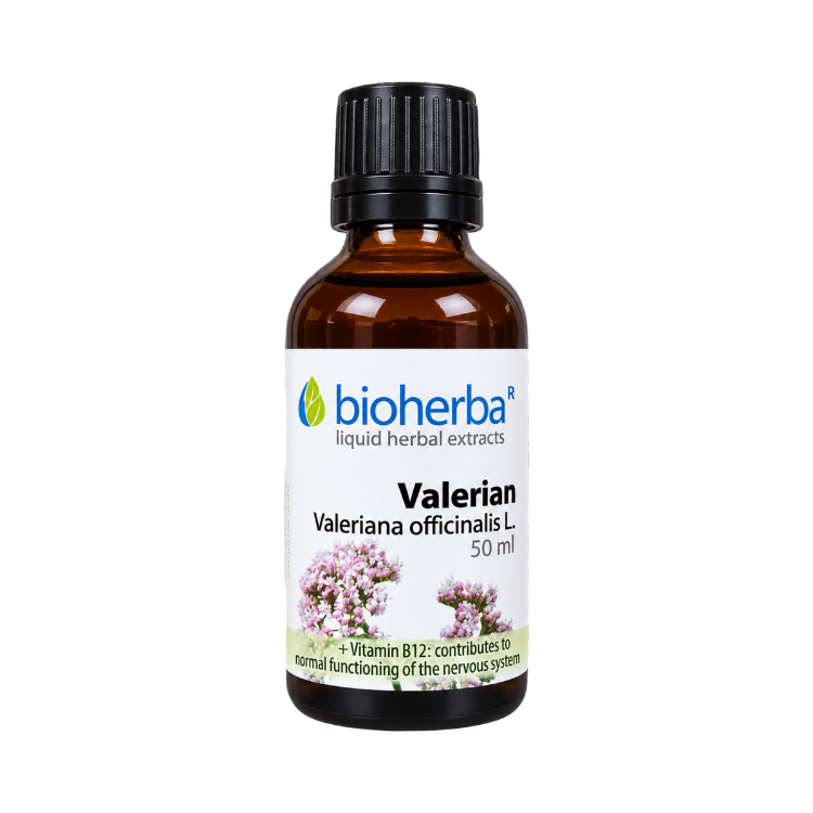 Obrázok z Valeriána kvapky na nervy – tinktúra – 50 ml – Bioherba