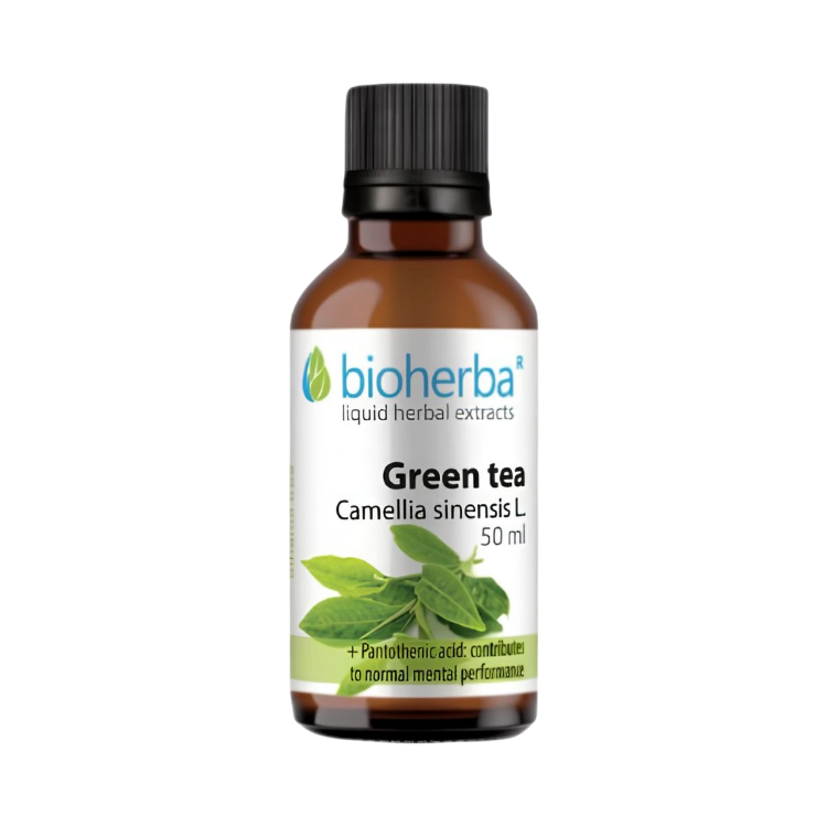 Obrázok z Zelený čaj (Camellia sinensis) kvapky – tinktúra – 50 ml – Bioherba