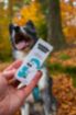Obrázok z Svieži dych DOGS – Shroom Buddy
