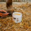 Obrázok z Balzam na kopytá HORSES – Shroom Buddy