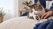 Obrázok z Balzam na labky CATS – Shroom Buddy