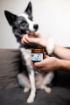 Obrázok z Balzam na labky DOGS – Shroom Buddy