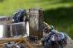 Obrázok z BARD s.r.o. Ecosin 10 × 3 g – BARD