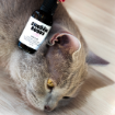 Obrázok z Kvapky do uší CATS – Shroom Buddy